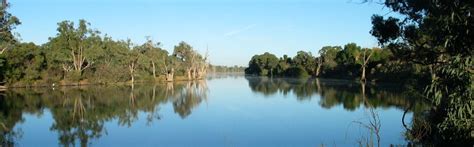 View these reports for each hospital Wentworth - Your Council NSW