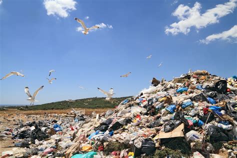 Municipal Garbage Waste Dumping Site Medical Incinerator