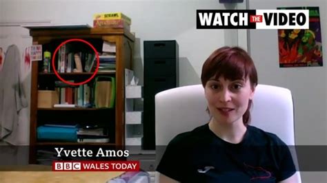 Bbc Guest Goes Viral For Sex Toy In Background During Interview Video Au
