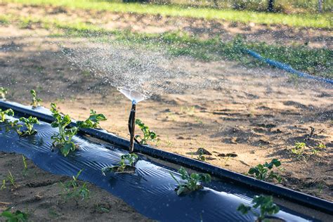 Transforming Smallholder Irrigation