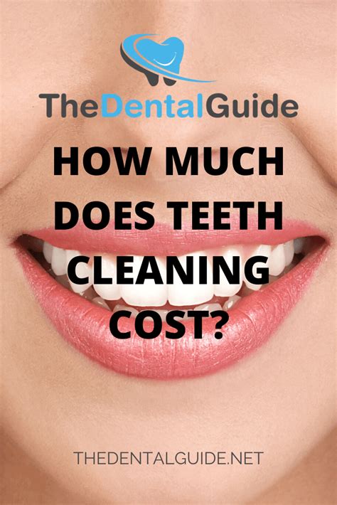 And much more fun for your dog! How Much Does Teeth Cleaning Cost? - The Dental Guide USA