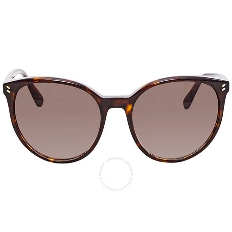 Stella Mccartney Brown Gradient Cat Eye Sunglasses Sc0086si 002 56 Stella Mccartney