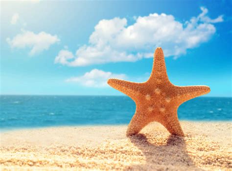 Summer Beach Starfish On A Beach Sand Against The Background Of The