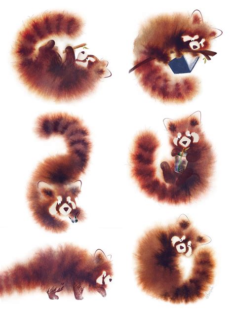 50 Hilarious Red Panda Puns Punstoppable 🛑