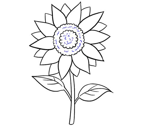 How To Draw A Sunflower Easy Step By Step Drawing Guides