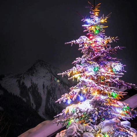 Xmas And Mountain Christmas Lights Christmas Winter Christmas