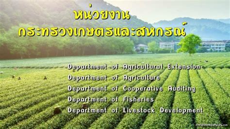 กระทรวงกระทรวงเกษตรและสหกรณ์ ภาษาอังกฤษ ชื่อหน่วยงานในกระทรวง Ministry ...
