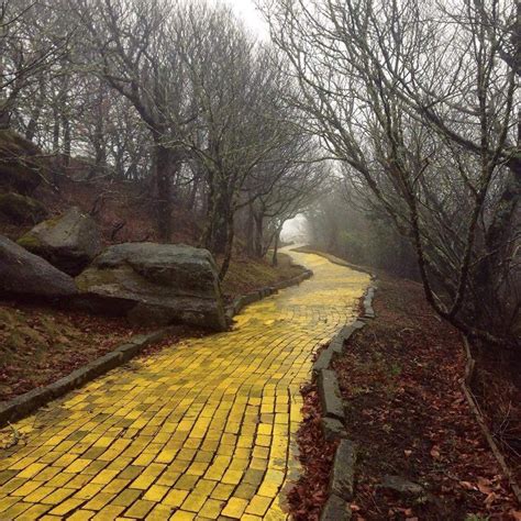 Picture Of The Yellow Brick Road From Abandoned Wizard Of Oz Theme Park