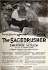 The Sagebrusher (1920)