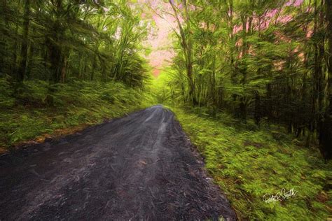 Dirt Road Through Lush Green Forest Digital Art By Rusty R Smith