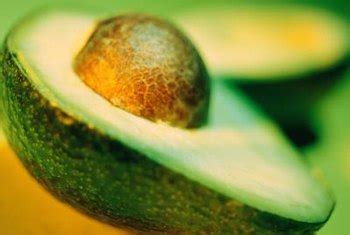 How much sun do tomato need. How Much Sun Does an Avocado Seed Need When You Plant It ...