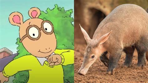 All About Aardvarks An Arthur Appreciation Post