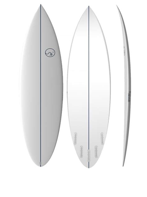 Squidy Gonzales Squid Surfboards Ventes De Planches De Surf éco