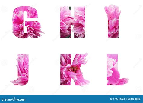 English Alphabet Letters Their Pink Peony Flowers Isolated White Floral