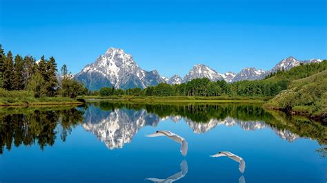 Lake 4k Wallpaper Mountains Blue Sky Landscape Clear Sky Reflection Water Swans Nature