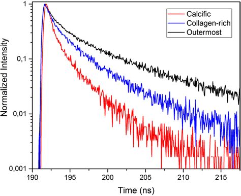 Fluorescence Decay Curves Of Cdtecds Quantum Dots On Calcific