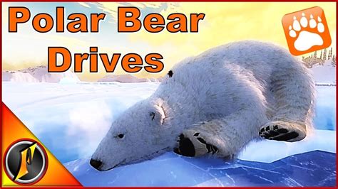 Polar Bear Drives Thehunter Classic 2017 Youtube
