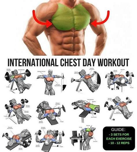 Chest Day Complete Workout Exercice Musculation Pectoraux Exercice