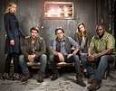 Zoo TV Series: 13 Things to Know about CBS' Upcoming Show | Collider