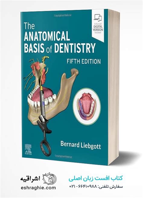 خرید کتاب The Anatomical Basis Of Dentistry 5th Edition نشر اشراقیه