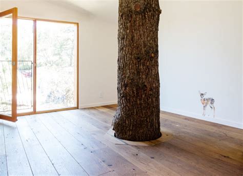 Los Angeles Home Wraps Around A Cedar Tree That Grows Through The Roof