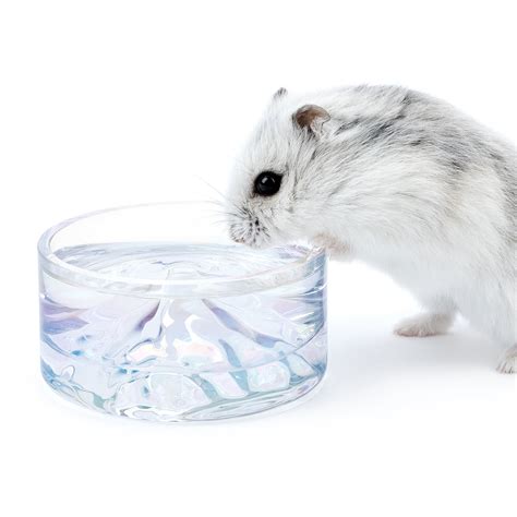 Niteangel Hamster Feeding And Water Bowls Small Animal Glass Drinking