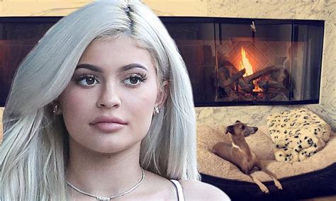 Kylie Jenner Gives Mansion Tour Which Has Man Cave Stacked Full Of
