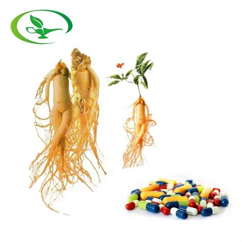 100 natural sexual enhancement ginseng root extract powder capsules buy sex ginseng capsule