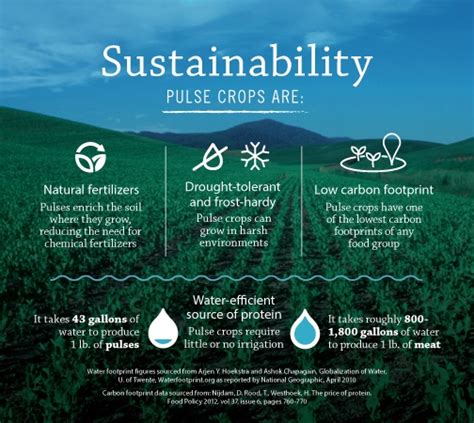 Sustainability Resources Usa Pulses