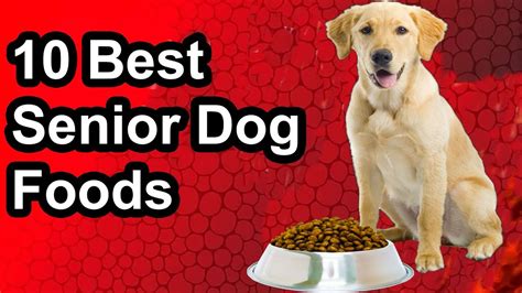 Updated 10 Best Senior Dog Food The Best Senior Dog Food 2019 Youtube