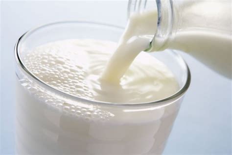 Fresh milk is the milk obtained from cow, sheep, camel, buffalo or goat, that has not been processed (pasteurized/sterilized). 5 Perbedaan Antara Susu UHT dan Susu Fresh Milk, Mana yang ...