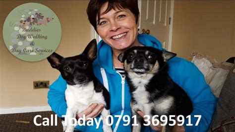 Monthly (5 or 10 day)card/packages and overnight stays: Buddies Dog Walking And Doggy Day Care Services Wakefield ...