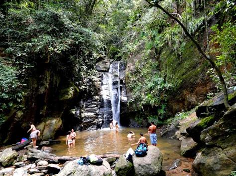 Rio Tijuca Forest And Horto Waterfalls Circuit Tour Getyourguide