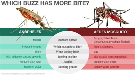Moka On Twitter Whats The Difference Between Aedes Mosquito And