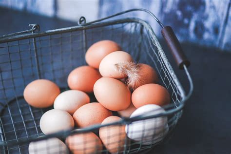 무료 이미지 식품 금속 닫다 바구니 계란 생성물 달걀 부활절 동물 사료 5472x3648 722757