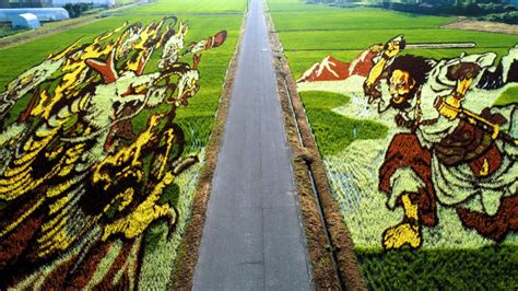 The Gigantic Rice Paddy Field Art In Inakadate Japan Tobeeko