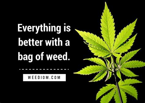 100 Best Weed Quotes Of All Time Weediom 2023