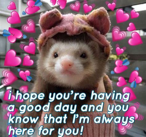 Hope You Have A Good Day Cute Love Memes Cute Memes Wholesome Memes