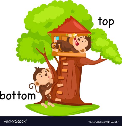 Opposite Words Bottom And Top Royalty Free Vector Image