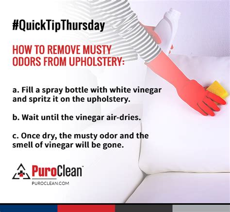 How To Remove Musty Odors From Upholstery Upholsterycleaning