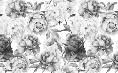 Black And White Floral Wallpapers 4k Hd Black And White Floral