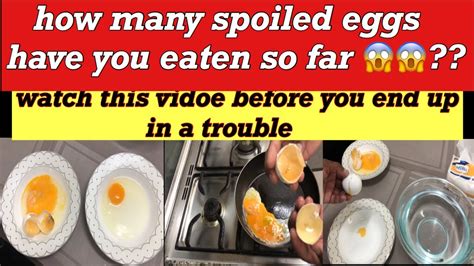 How To Find Spoiled Eggs Without Opening Good Eggs Or Bad Eggs Life