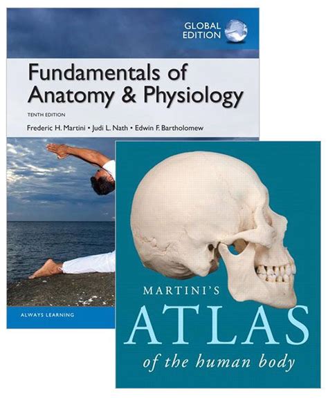 Value Pack Fundamentals Of Anatomy And Physiology Global Edition