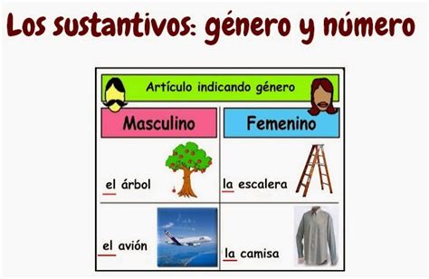 Para Llevar Azafata Amenazar Clases De Sustantivos Segun El Genero