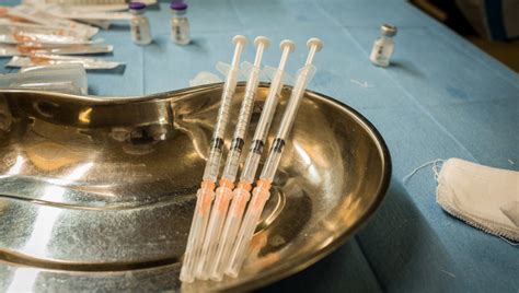 La regione schiera l'artiglieria pesante: Vaccino anti-Covid: in Emilia-Romagna in due mesi crollano ...