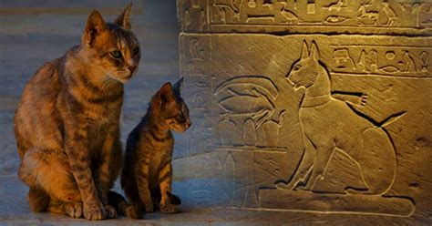 The Cat Came Back A More Than Mythical History Part I Ancient