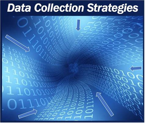 The Best Data Collection Strategies For Your Business