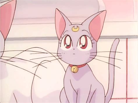 Aesthetic Sailor Moon White Cat Largest Wallpaper Portal