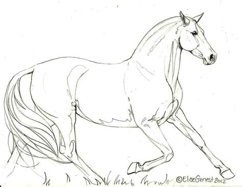 A Drawing Of A Horse Running In The Grass