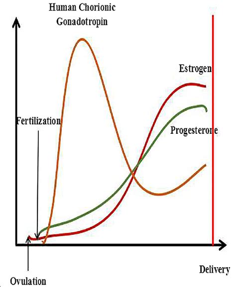the trends of hcg estrogen and progesterone during pregnancy the download scientific diagram